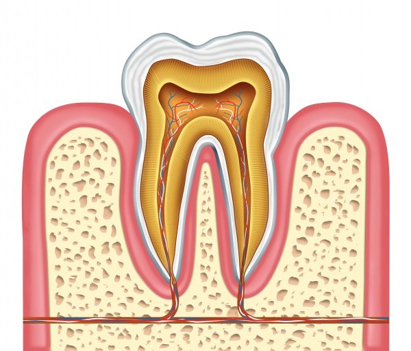 Root canal therapy La Mesa — Dr. Cvetan Mechev DDS at La Mesa Dental Center